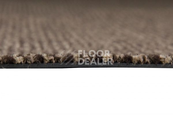 Грязезащитные покрытия Vebe Alba PC Alba PVC 60 фото 1 | FLOORDEALER
